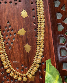 Long Lakshmi coin necklace