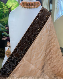 ORANGE NET SAREE WITH VELVET BROWN BORDER